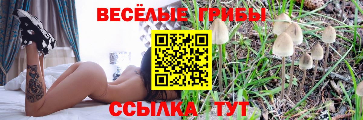 Псилоцибиновые грибы Psilocybe  Вход с VPN  Галлюциногенные грибы мицелий  Кумертау 